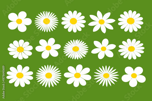 Set of flat daisy flower icons with white petals and yellow centers on green background, arranged in a neat grid. Spring meadow mood, floral pattern, nature decoration.