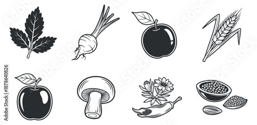 A collection of black and white vector illustrations featuring various fruits, vegetables, and herbs, ideal for food packaging and design.