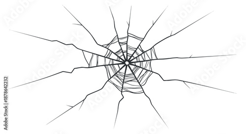 A detailed illustration of a spider web in black outline vector style, ideal for nature-themed designs and Halloween graphics