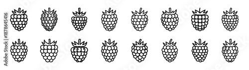 Set of 16  raspberry fruit outline food icons related. Editable stroke icons collection