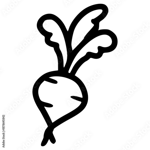 doodle radish illustration hand drawn outline vector