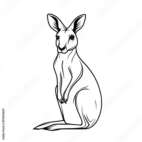 silent observer: kangaroo's thoughtful gaze minimalist black white line art | Clean, isolated vector art for creative projects.