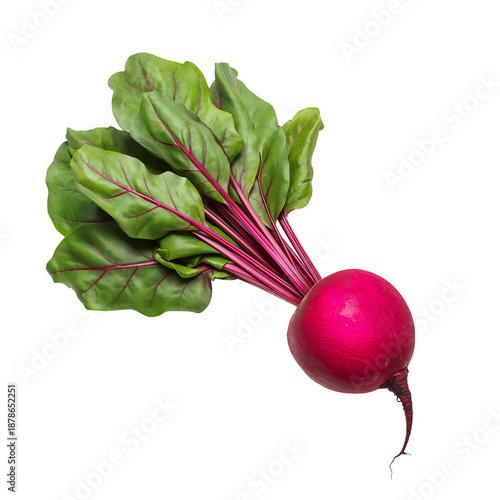 Fresh Beet With Leaves and a Sliced Half Showing Red Rings on a White Background