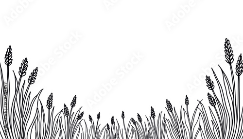 Black grass silhouette with wild plants on white background, nature illustration and botanical design element