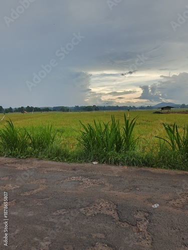 green field and blue sky