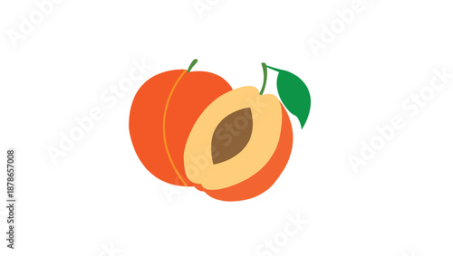 apricot vector art 