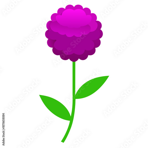  gomphrena globosa buddy purple vector colorful on white background 