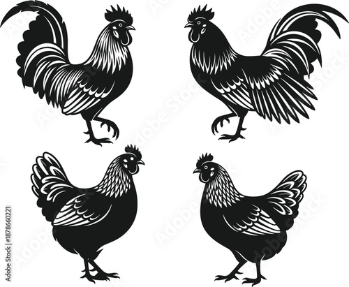 Black And White Vector Illustration Of Multiple Rooster And Hen Silhouettes In Various Poses Including Standing And Walking For Farm Nature Wildlife Design
