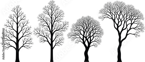 Bare winter tree silhouettes collection, leafless deciduous trees with detailed branches, black vector illustration set for seasonal landscape, nature, minimalist design