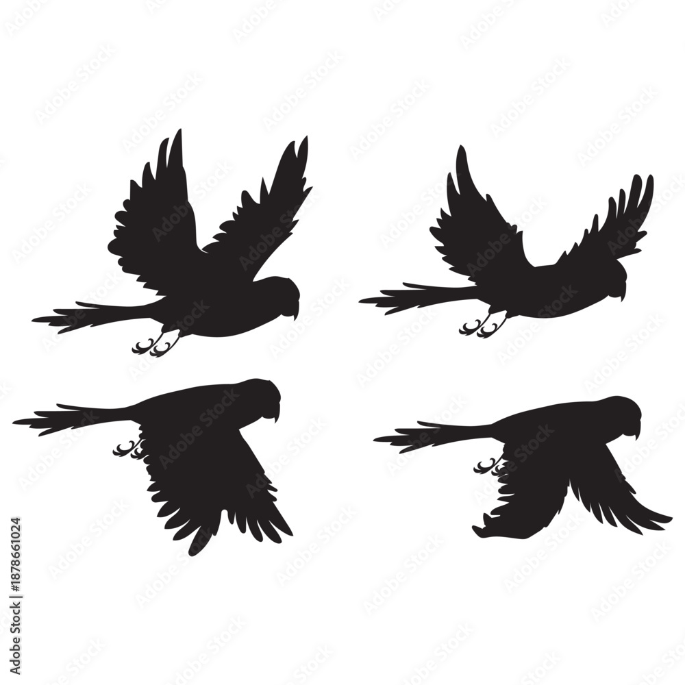 Obraz premium Bird silhouette vector art design