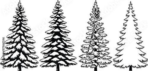 Hand drawn evergreen pine tree silhouettes set, black and white winter forest illustration, detailed conifer vector collection for logo design, nature decor, seasonal graphics