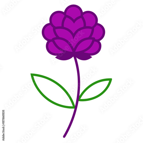  gomphrena globosa buddy purple line art on white background 