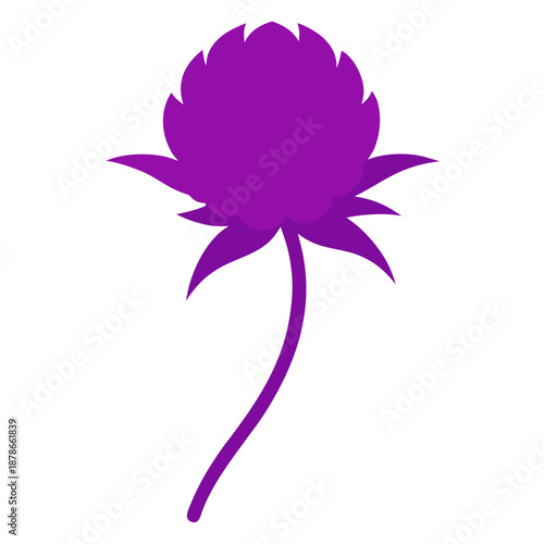  gomphrena globosa buddy purple vector silhouette on white background 