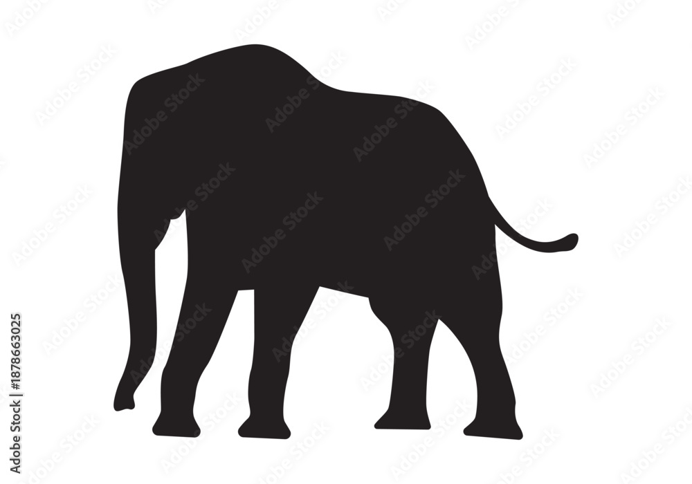 Fototapeta premium elephant silhouette vector