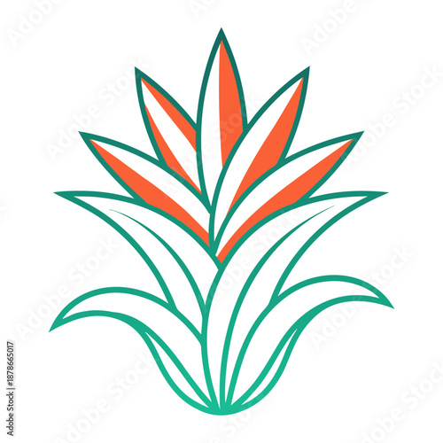 guzmania line art on white background