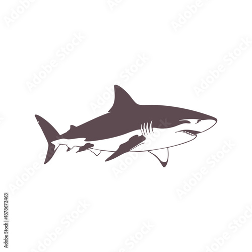 Great White Shark Silhouette. Vector Illustration of a Predatory Sea Fish for Marine and Ocean Designs