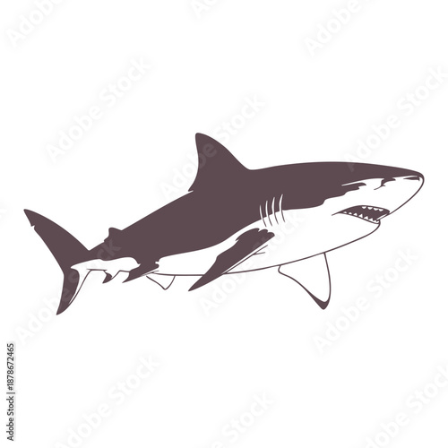 Great White Shark Silhouette. Vector Illustration of a Predatory Sea Fish for Marine and Ocean Designs