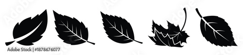 falling leaf silhouette vector icon set, black color and white background