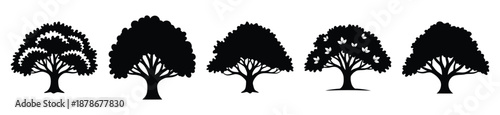oak tree silhouette vector icon set, black color and white background