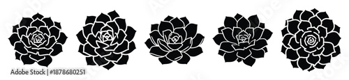 succulent rosette silhouette vector icon set, black color and white background
