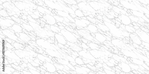 A vintage white paper texture background features a rough grunge surface with a gray marble pattern and an old textured stone design for a seamless cement wall backdrop