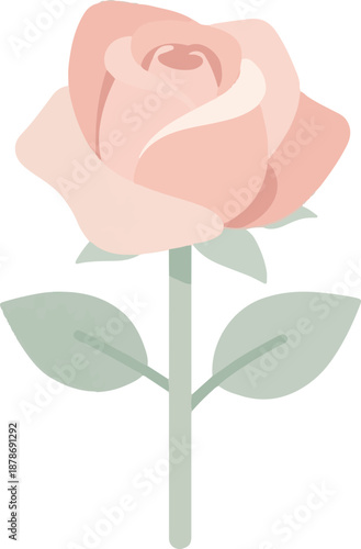 Elegant Pink Rose Flower Floral Illustration