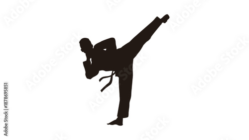 Silhouette of Karate Athlete Performing High Kick