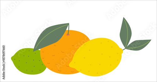 Citrus fruits flat illustration on white background. Lemon, orange and lime with leaves. Simple food and fresh fruit concept for design and print.
