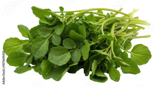 Fresh green watercress PNG isolated on transparent background, healthy leafy vegetable for salads and culinary use