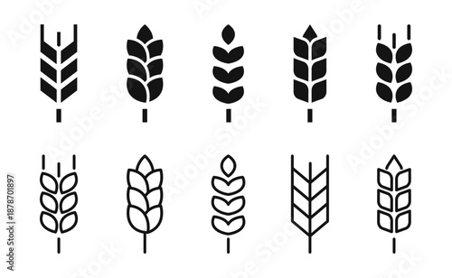 Wheat ears icons. Grain spike icon. Agriculture symbol. Gluten sign.  Cereal, bread, harvest, bakery logo. Organic wheat plants. Vector illustration.