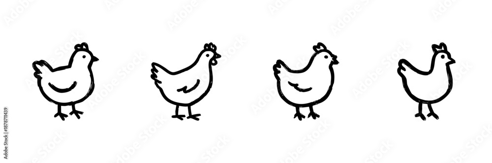 Fototapeta premium Four Chicken Line Icons In Doodle Style. Farm Animal, Poultry, And Agriculture Symbol Outline Sketch Collection. Rustic And Whimsical Design. Hand Drawn Isolated Vector Illustration
