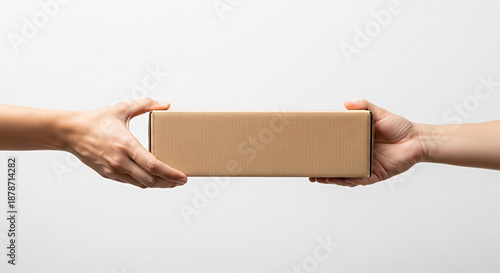 Handing Over Brown Cardboard Box on White Background