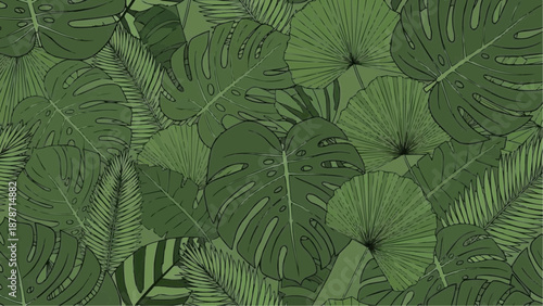 a lush arrangement of various green tropical leaves in a dense and vibrant display high quality professional