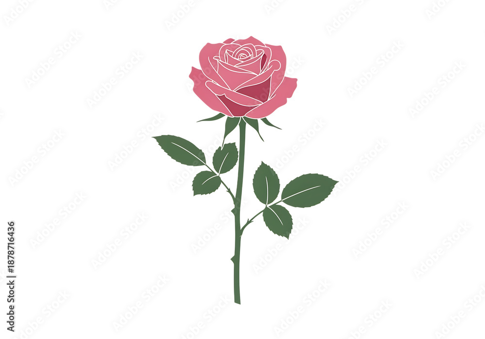Fototapeta premium Single pink rose with leaves isolated on transparent background