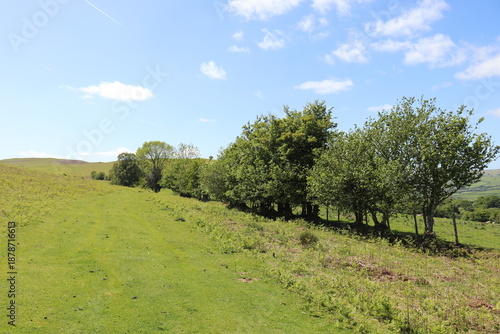 Wales countryside in the summertime