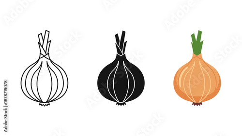 Three onion illustrations in different styles white outline black silhouette and colored on a white
