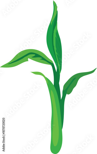 Sprout of palm plant with green leaves in cartoon style on white background