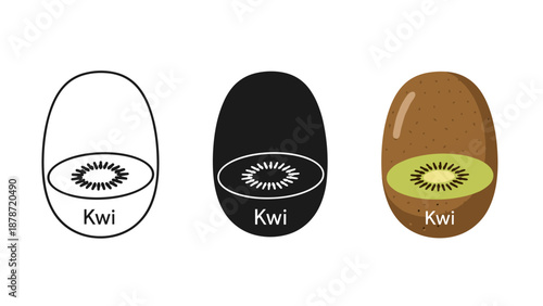 Illustration of kiwi fruit in three different styles from simple line art to colored versions showcasing