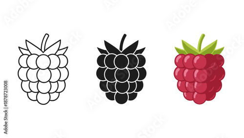Raspberries in three illustration styles black and white on white background