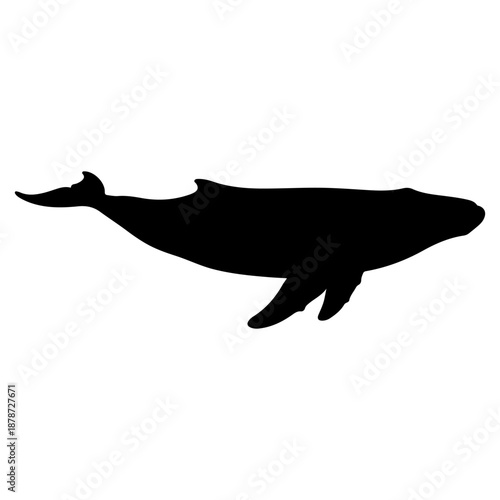 Silhouette of a majestic whale gracefully swimming in the ocean Vector