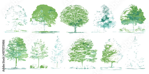 다양한 스타일의 나무 일러스트 세트, 투명한 배경에 그려진 스케치 및 수채화 효과