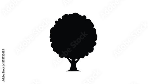 Deciduous Tree Silhouette Isolated on White Background