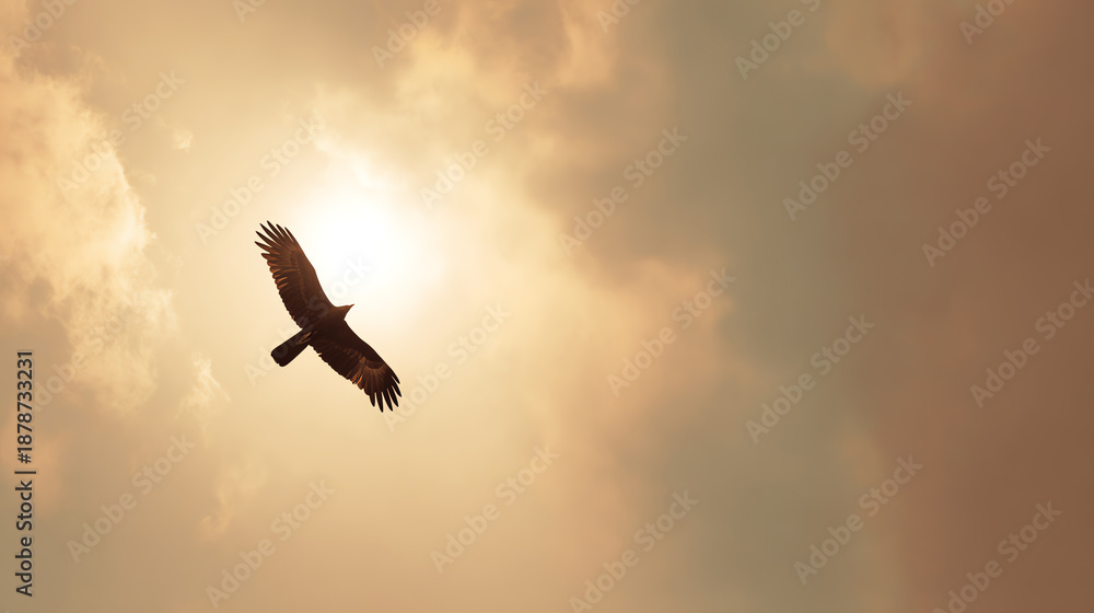 Fototapeta premium A majestic bird of prey soaring gracefully against a backdrop of golden clouds and a bright sun.