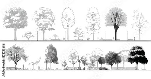 Zestaw wektorowych ilustracji drzew i elementów parkowych w różnych stylach graficznych i przezroczystości.