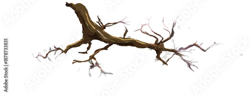 흰색 배경에 뻗어 있는 나무의 낡은 뿌리, 투명한 질감으로 자연의 유기적인 형태를 보여줍니다.