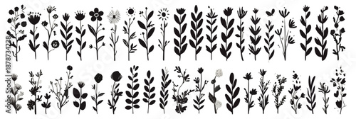 Zestaw czarno-białych, stylizowanych sylwetek kwiatów i ziół z przezroczystym tłem do projektowania graficznego.