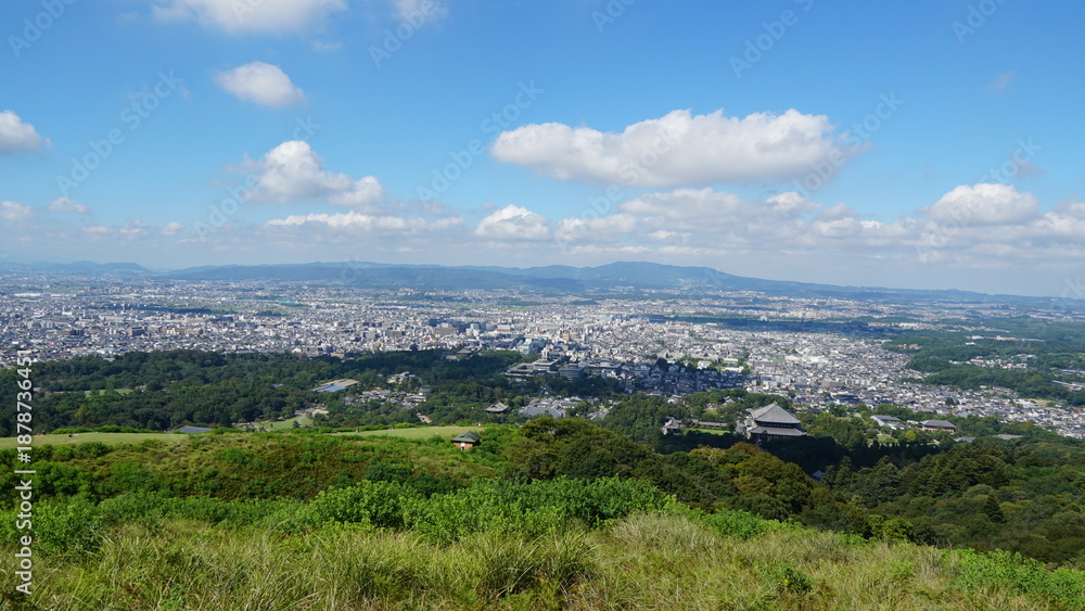 Fototapeta premium Nara Park – Home of Free-Roaming Deer and Historic Temples in Nara, Japan
