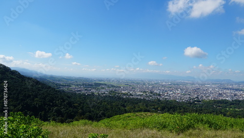 Wallpaper Mural Nara Park – Home of Free-Roaming Deer and Historic Temples in Nara, Japan Torontodigital.ca