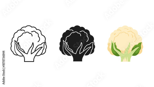 Cauliflower icons in black white and color on clean background