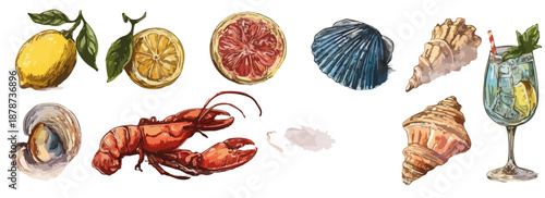 Illustrazioni ad acquerello di frutti, frutti di mare, conchiglie e cocktail estivi su sfondo trasparente.